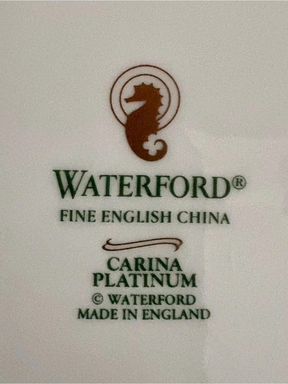 Classic Waterford Carina Platinum 5 piece place setting NEW !!